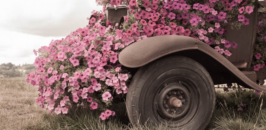 rusty flower car in Oregon
